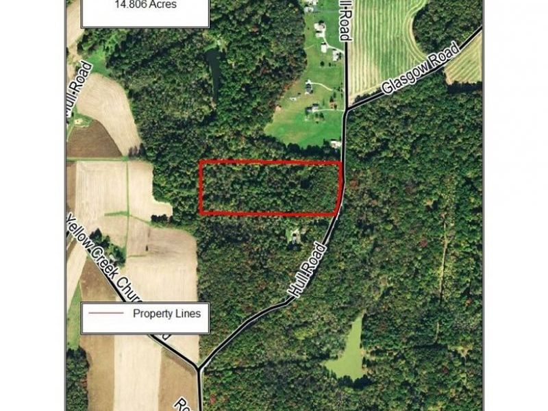 35224 Hull Road, Salineville, OH 43945 Photo 6