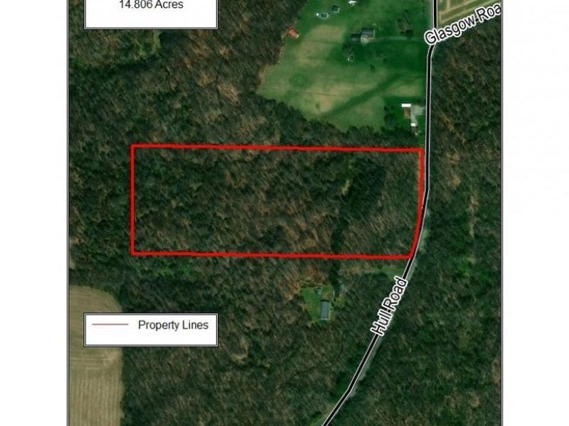 35224 Hull Road, Salineville, OH 43945 Photo 7