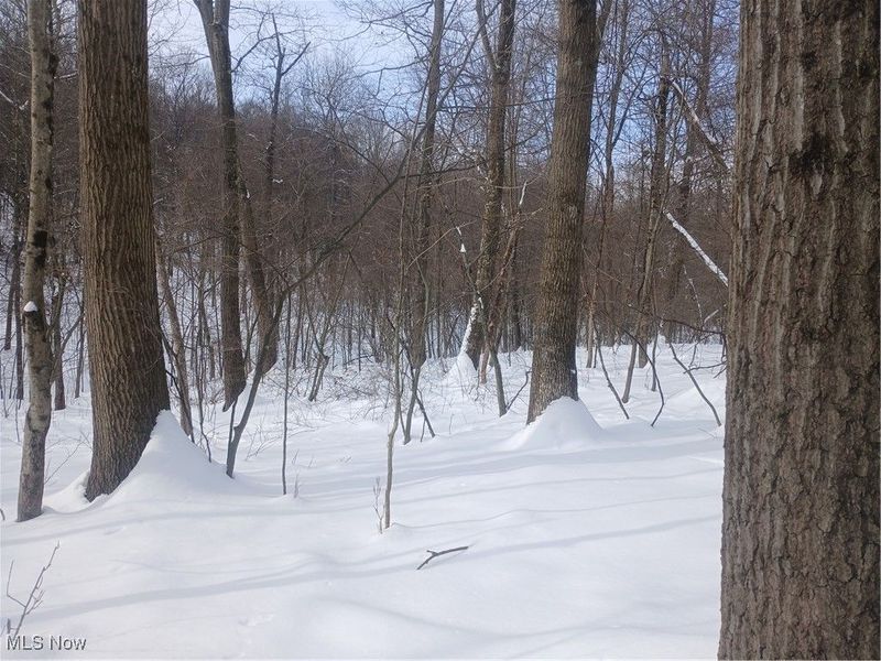 35224 Hull Road, Salineville, OH 43945 Photo 9