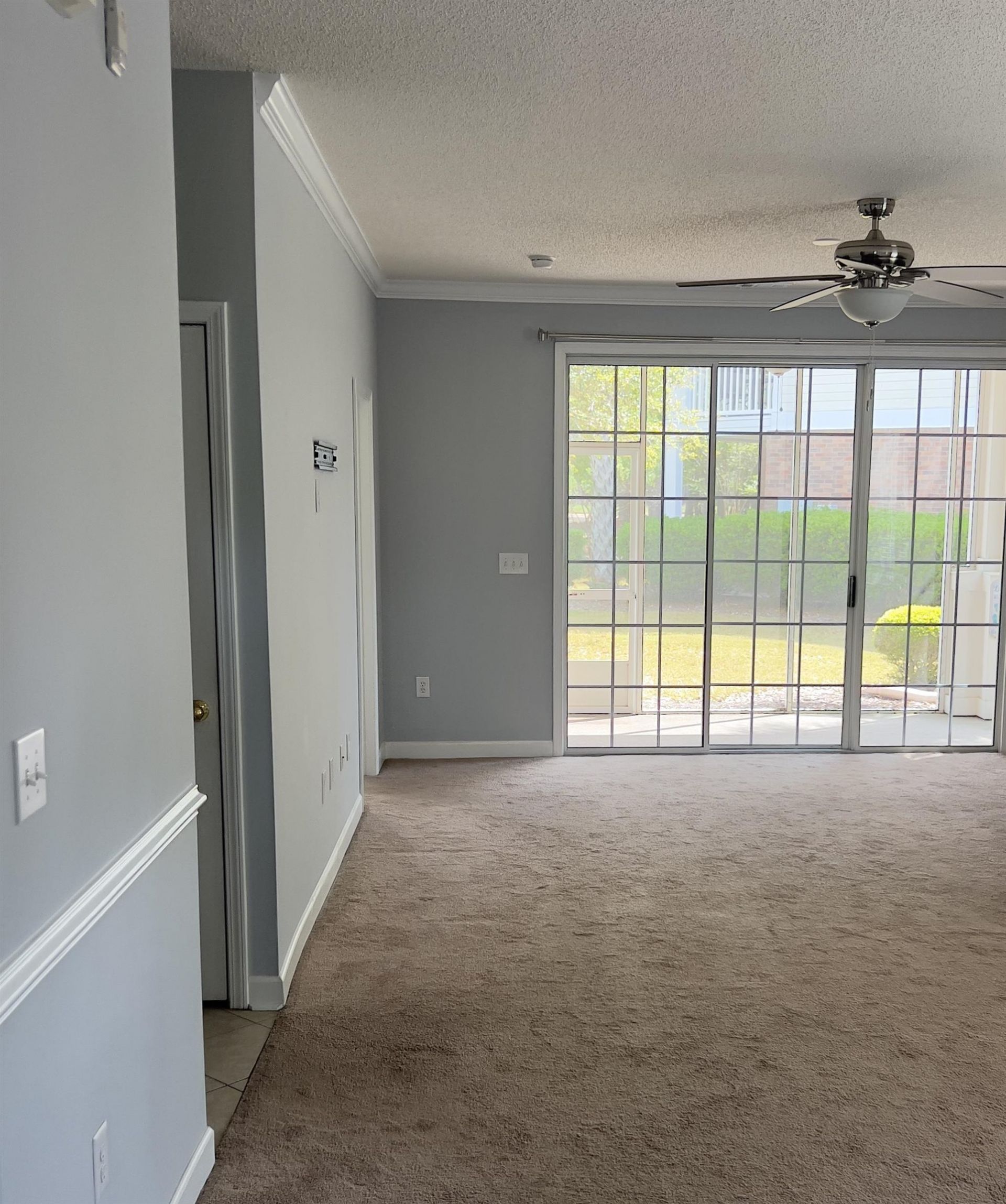 6015 Catalina Dr. Photo 9