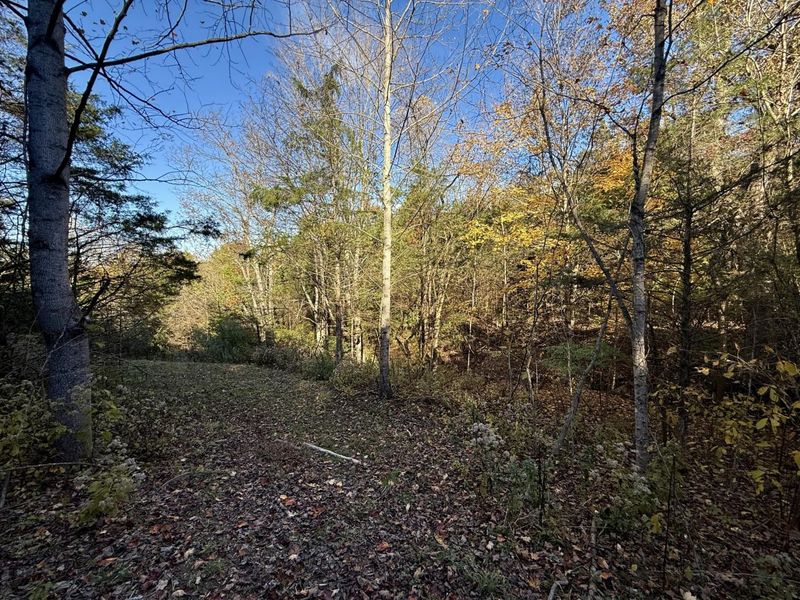 929 Fisher Road, Foster, KY 41043 Photo 16