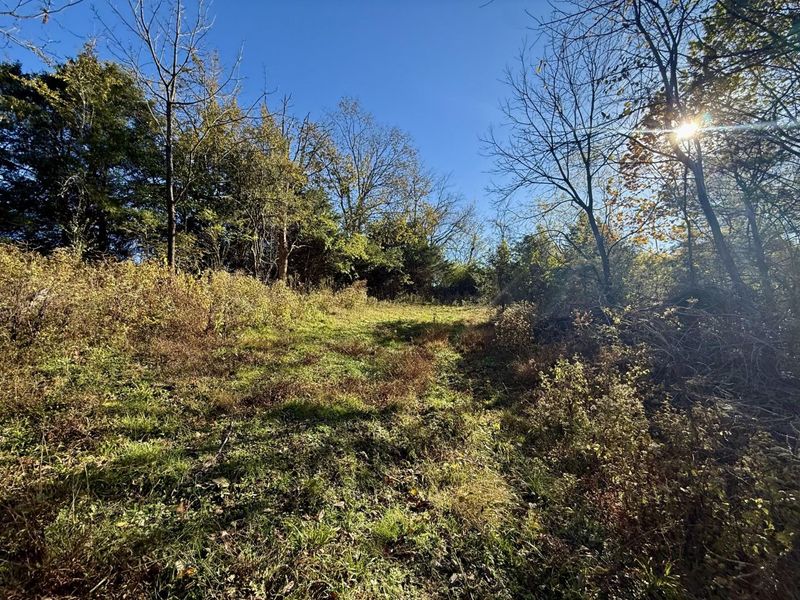 929 Fisher Road, Foster, KY 41043 Photo 19