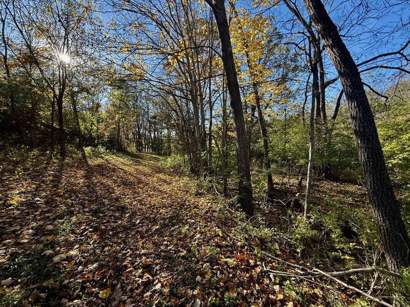 929 Fisher Road, Foster, KY 41043 Photo 22