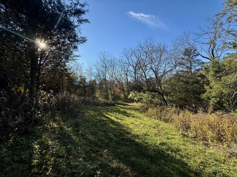 929 Fisher Road, Foster, KY 41043 Photo 24