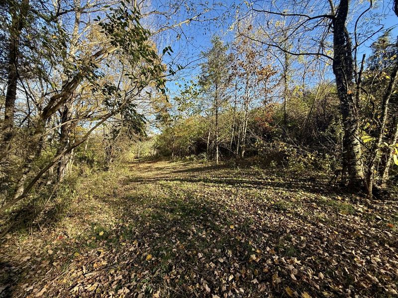 929 Fisher Road, Foster, KY 41043 Photo 7