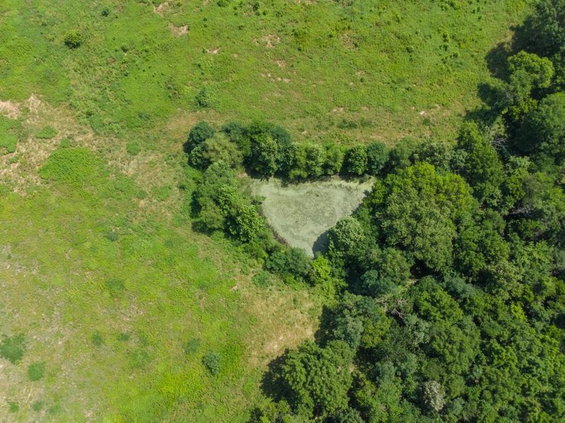 0 KY 1039, Sanders, KY 41083 Photo 19