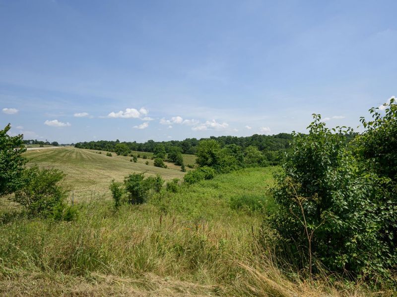 0 KY 1039, Sanders, KY 41083 Photo 24