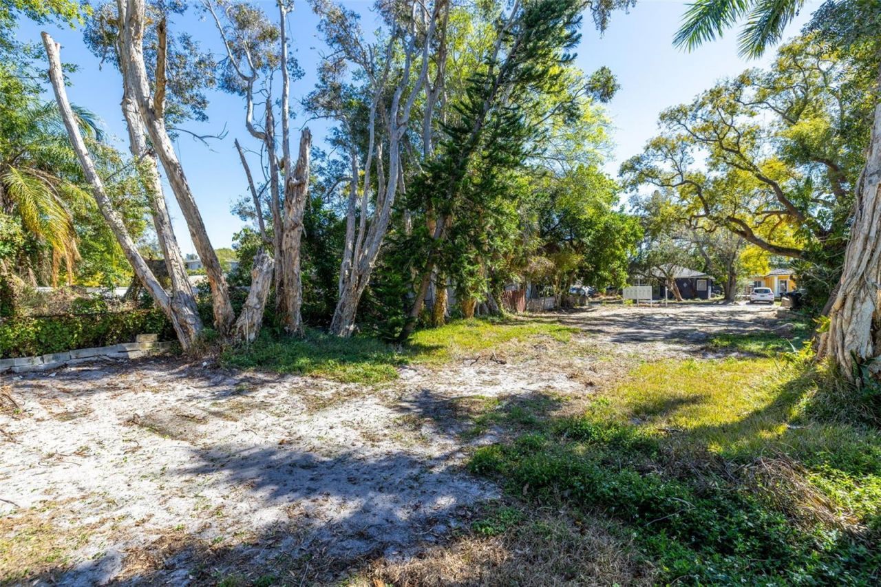 711 12th Avenue N, Saint Petersburg, FL 33701 Photo