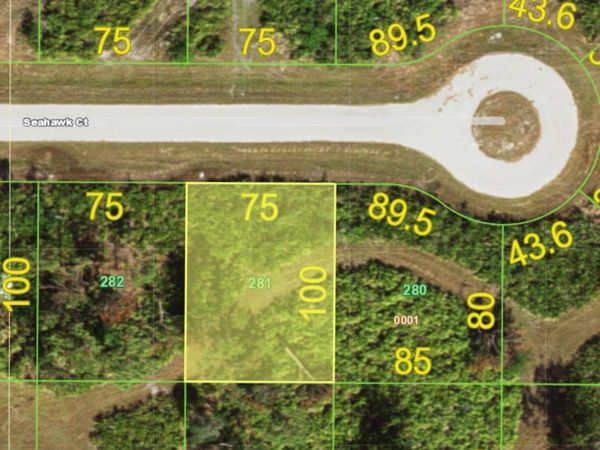 19 SEAHAWK COURT, PLACIDA, FL 33946