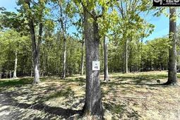 41 Shoreview Drive  photo 4