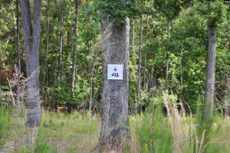 41 Shoreview Drive  photo 4