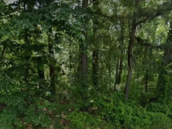 Lot 009 N Norman Street , Pine Bluff, AR 71602
