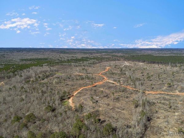 0 Brown Street, Ward, AL 36922