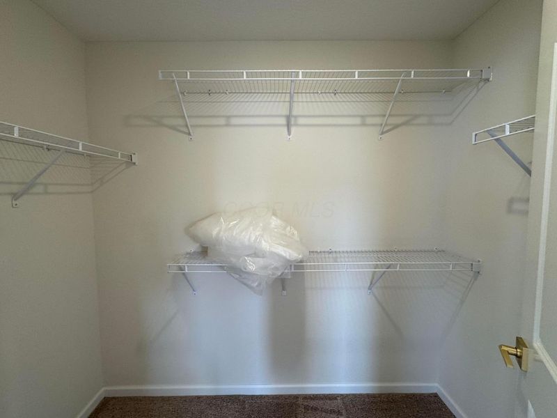 6331 Lampone Drive, Unit Lot 310, Hilliard, OH 43026 Photo 50