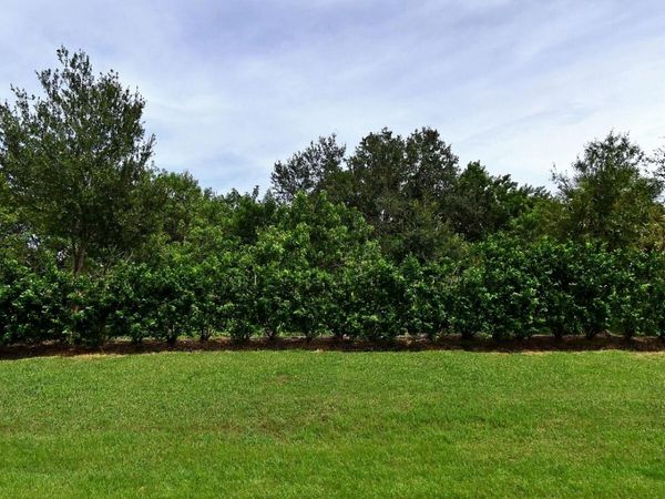 4341 Winding Place, Fort Pierce, FL 34981