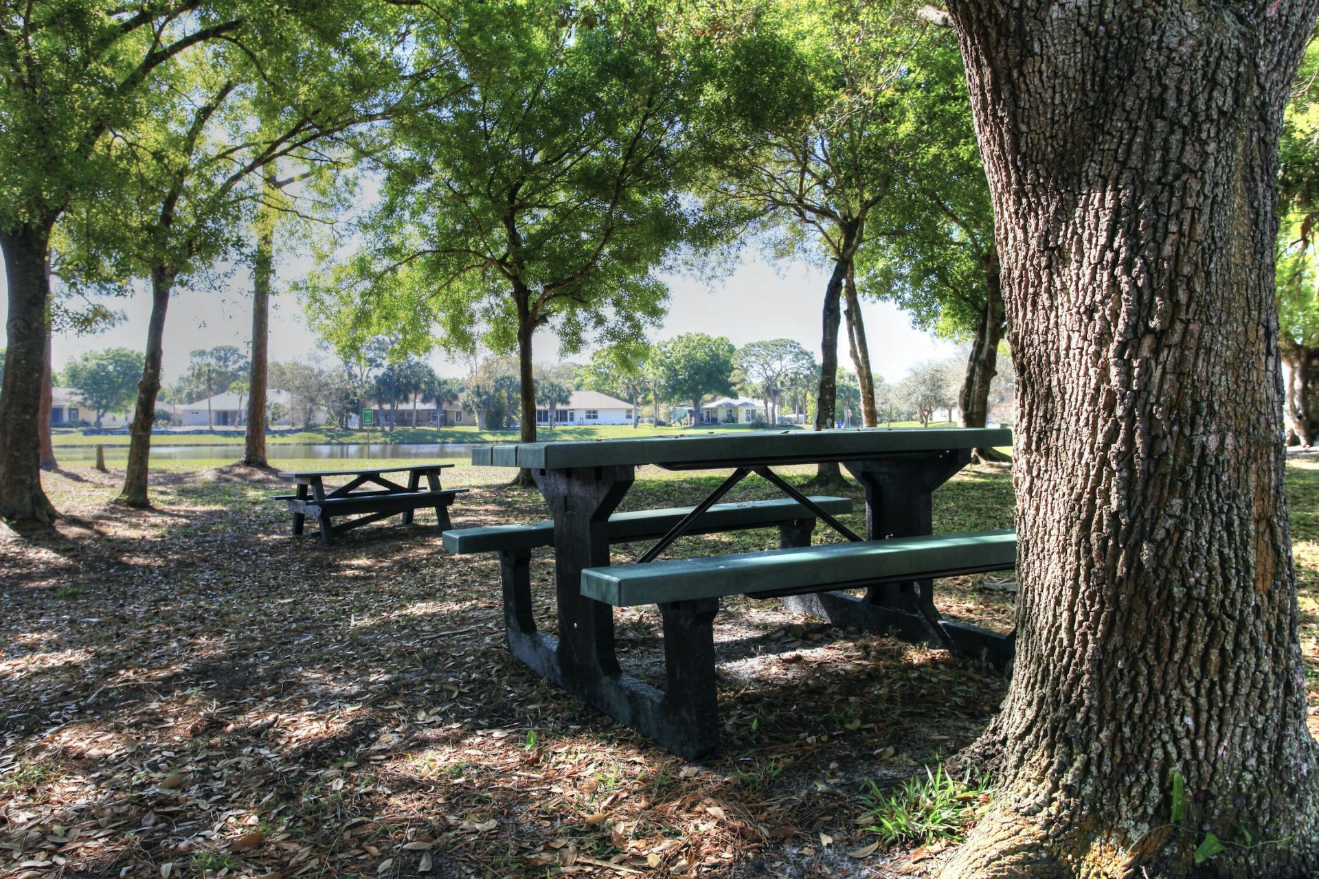 443 Lanfair Avenue, Sebastian, FL 32958 Photo