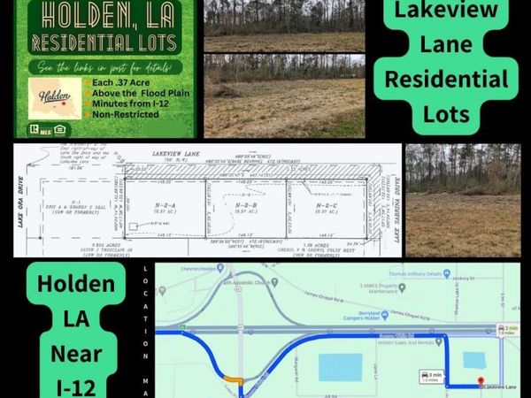 TBD Lot N-2-A Lakeview Ln, Holden, LA 70744