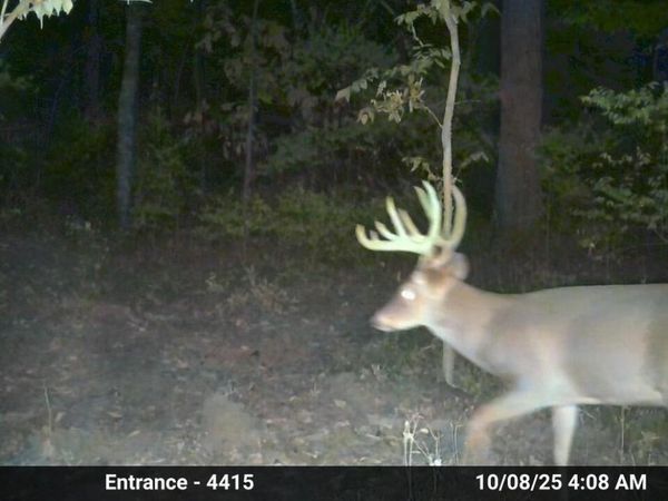 00 E Richview Road, Mt. Vernon, IL 62864