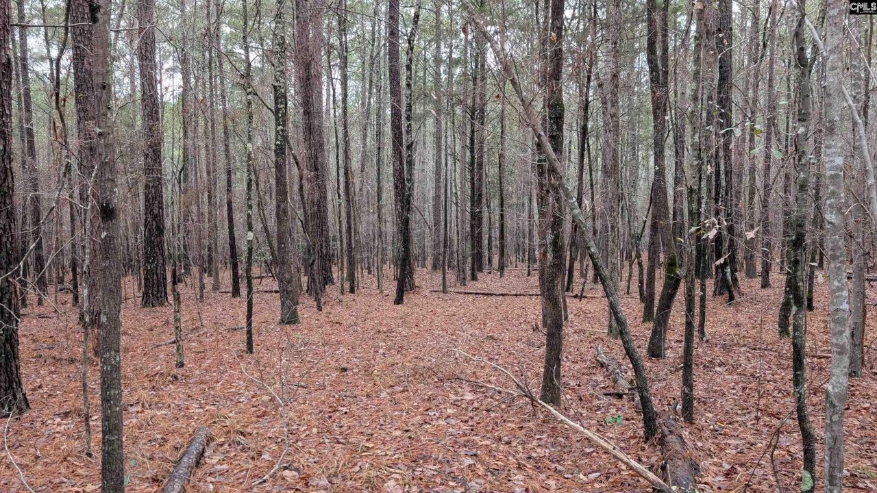 Tbd Colonels Circle Photo 11