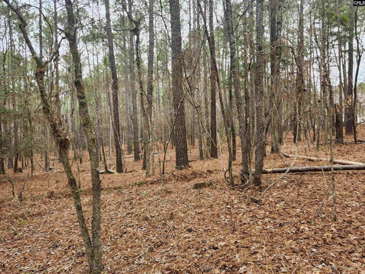 Tbd Colonels Circle Photo 5