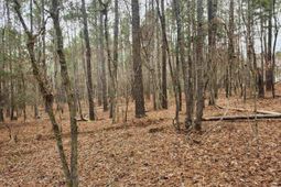 Tbd Colonels Circle photo 4