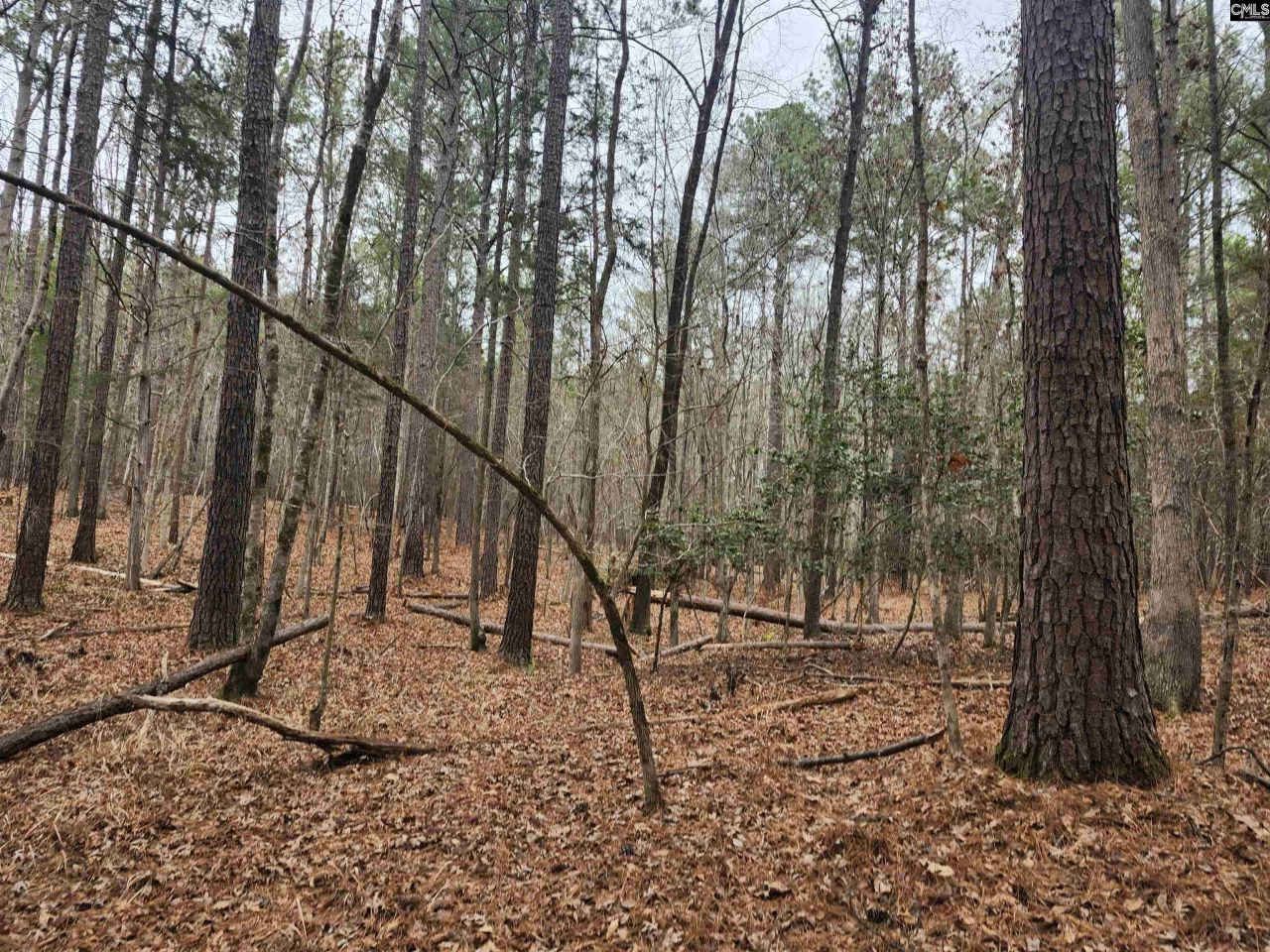 Tbd Colonels Circle Photo 6