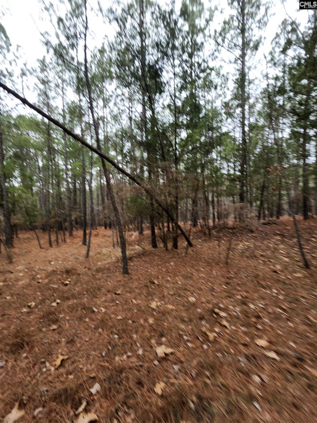 Tbd Colonels Circle Photo 7