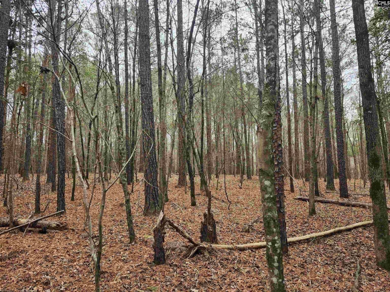 Tbd Colonels Circle Photo 8