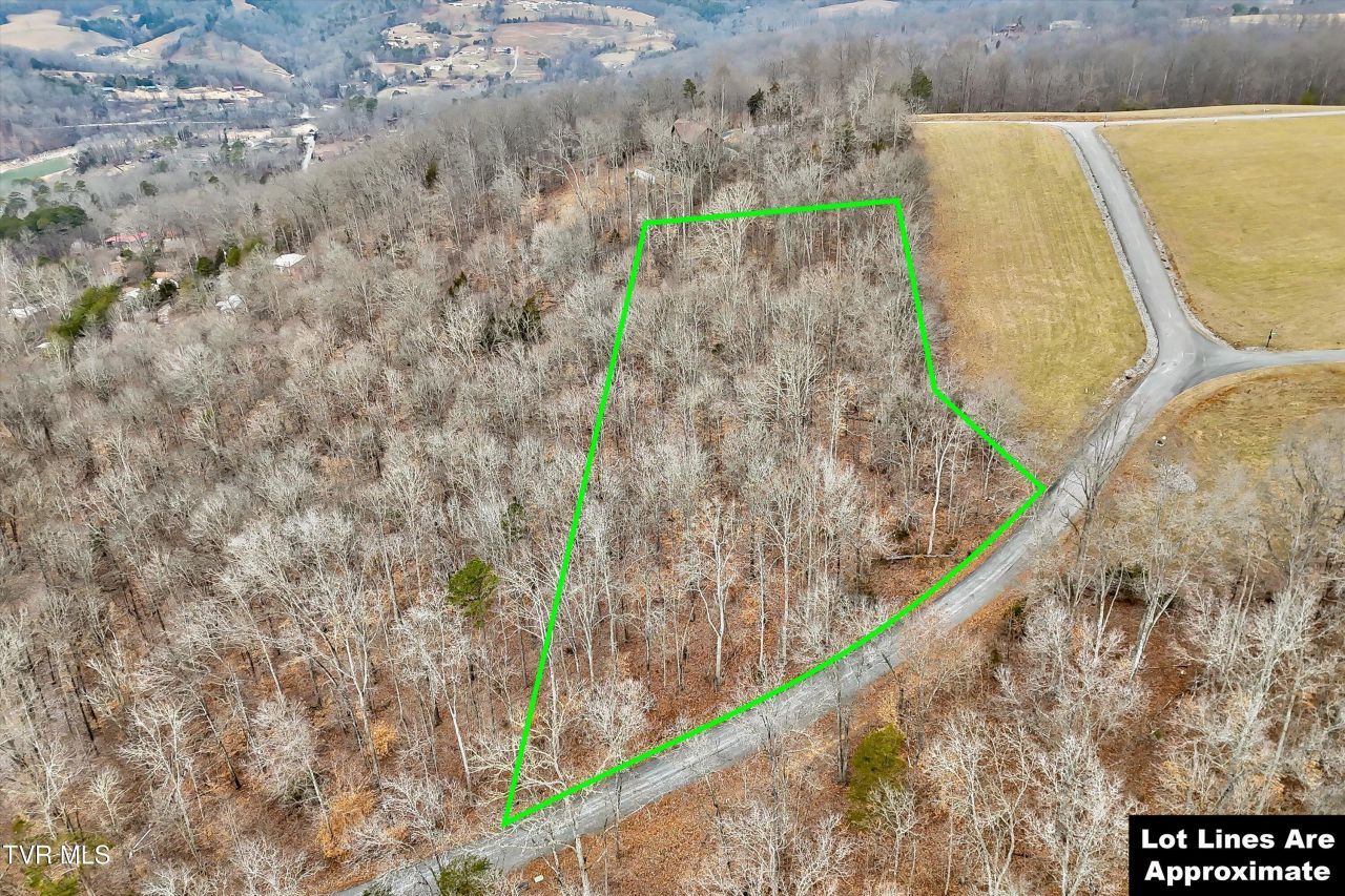 Lot 306 Sapphire Court, New Tazewell, TN 37825 Main Photo