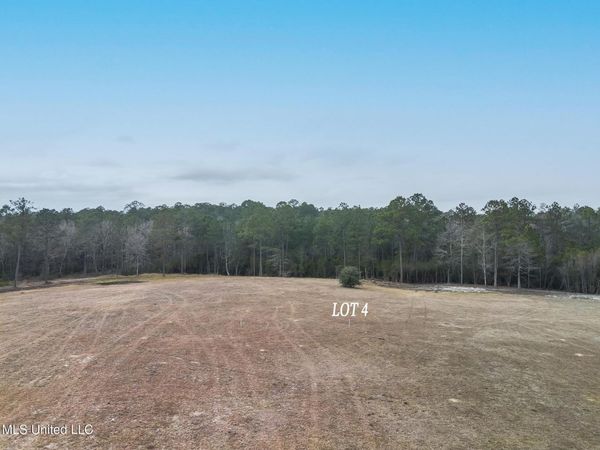 Lot 4 Kahler Lane, McHenry, MS 39561