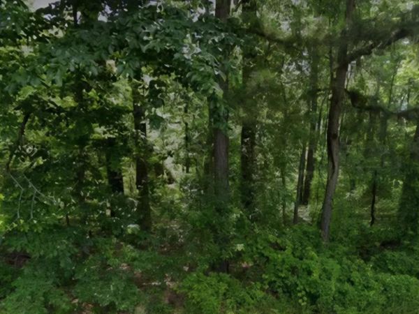 Lot 009 N Norman Street, Pine Bluff, AR 71602
