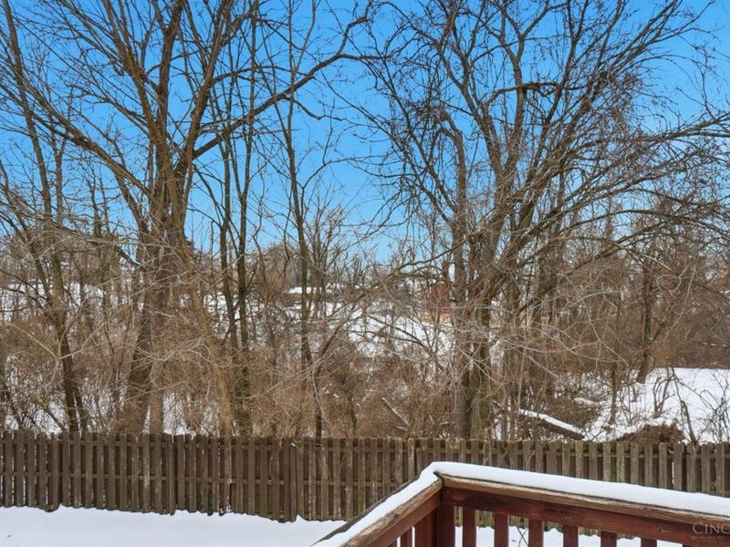 3595 Harvey Avenue, Cincinnati, OH 45229 Photo 39