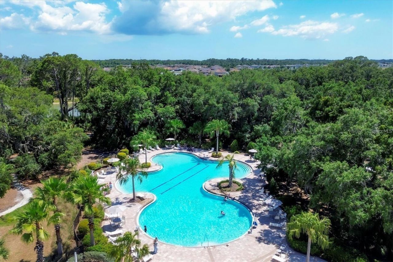10463 Ladybug Cove, Parrish, FL 34219 Photo