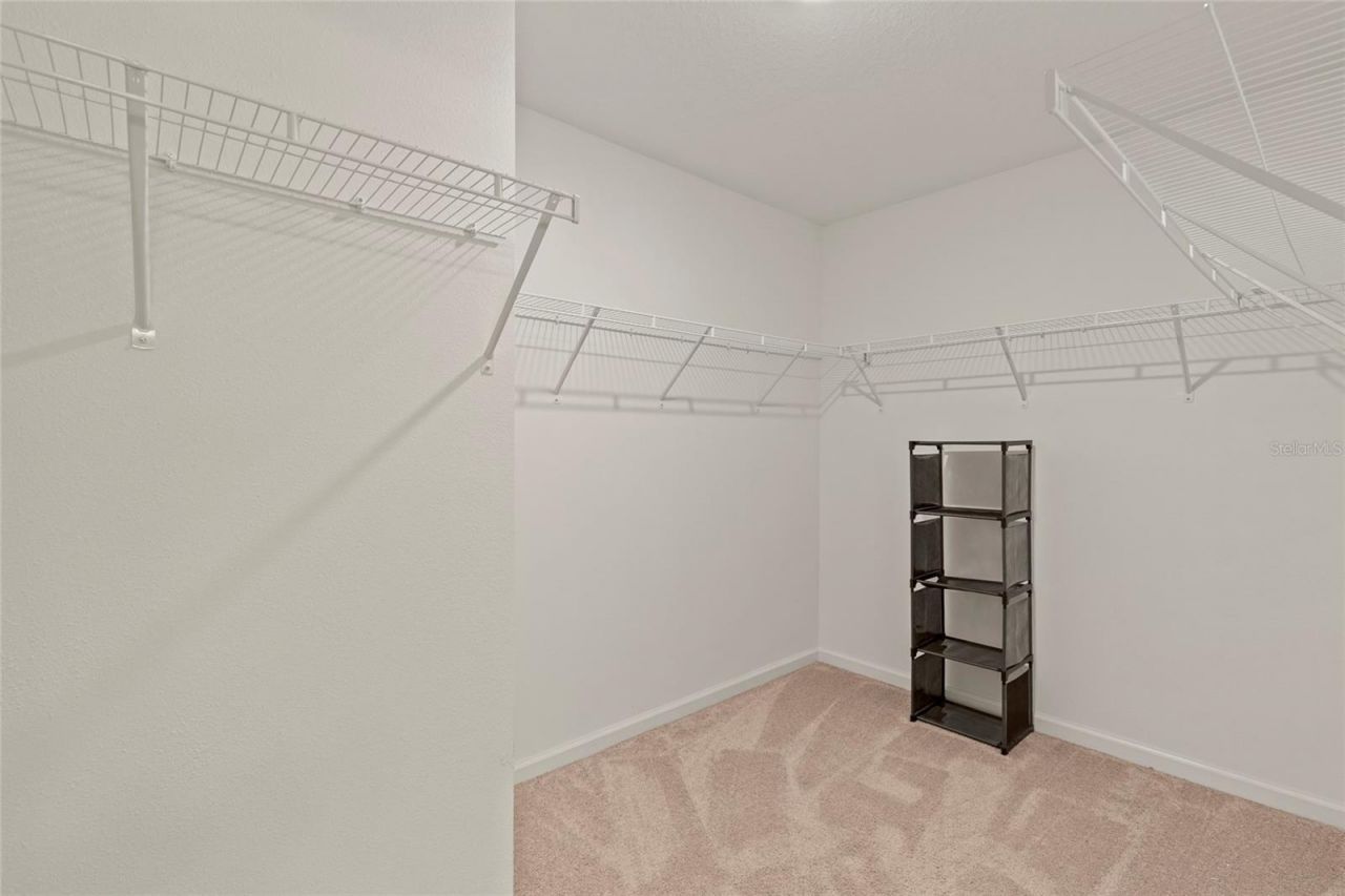 10463 Ladybug Cove, Parrish, FL 34219 Photo