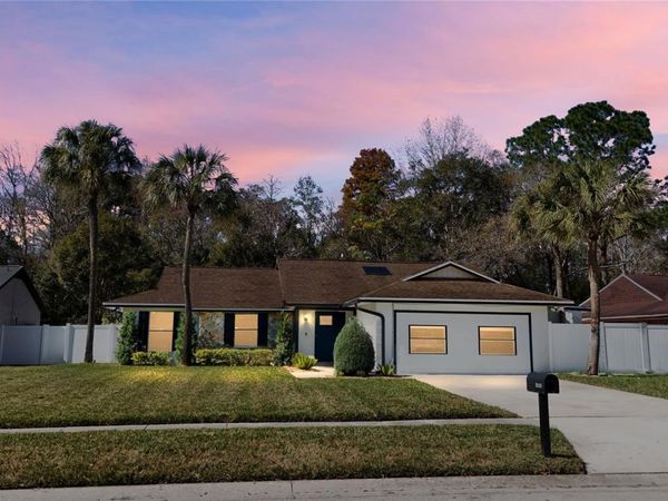 14910 WINTERWIND DRIVE, TAMPA, FL 33624