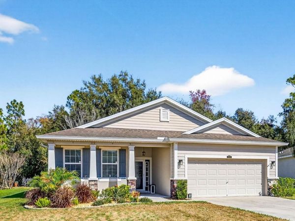 808 BRONZE BUSH COURT, PLANT CITY, FL 33566