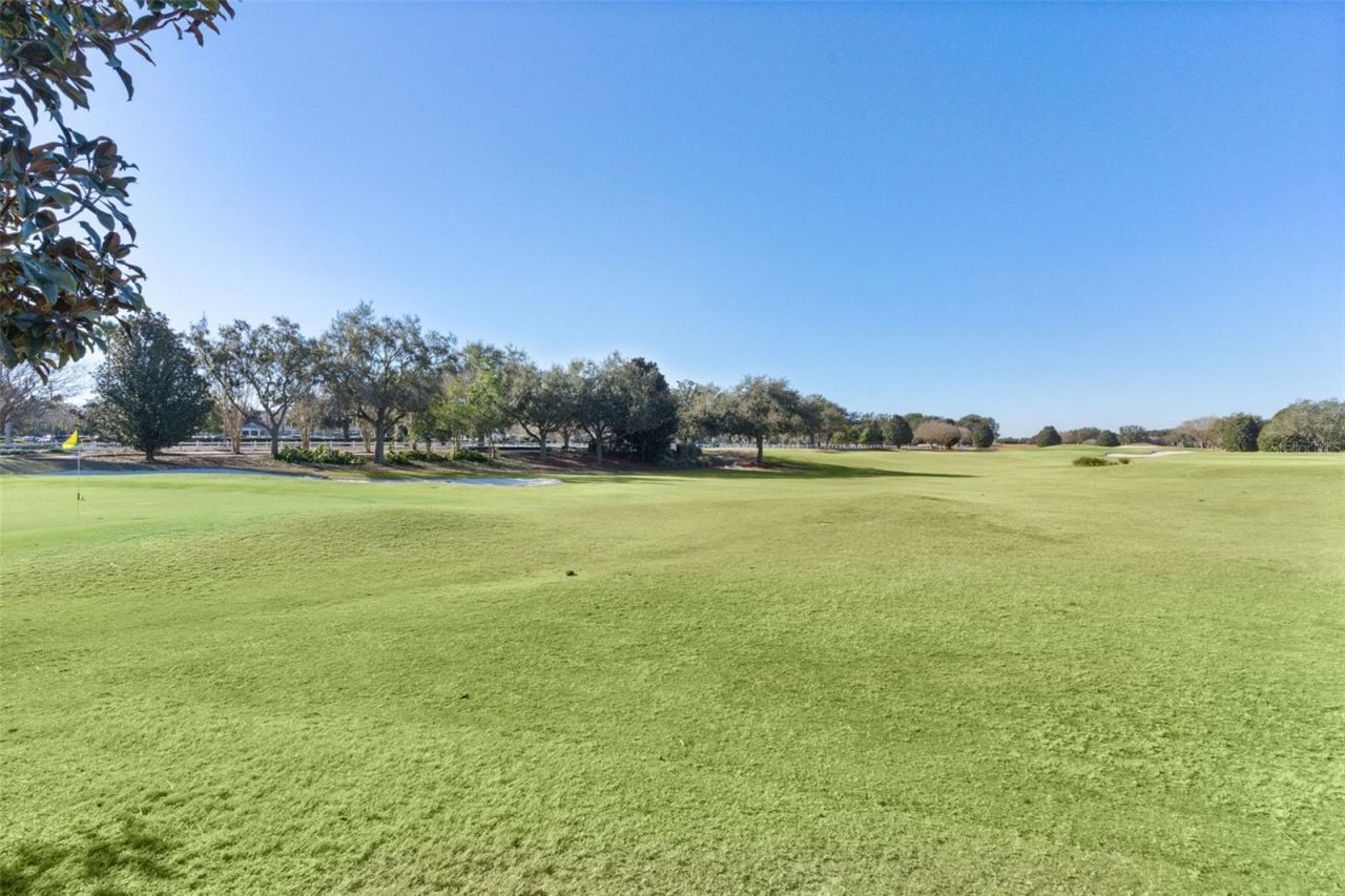 737 Dowding Way, The Villages, FL 32162 Photo