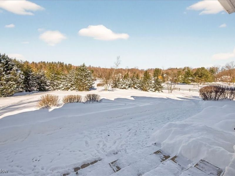 11425 Clearfield Lane, Chardon, OH 44024 Photo 3