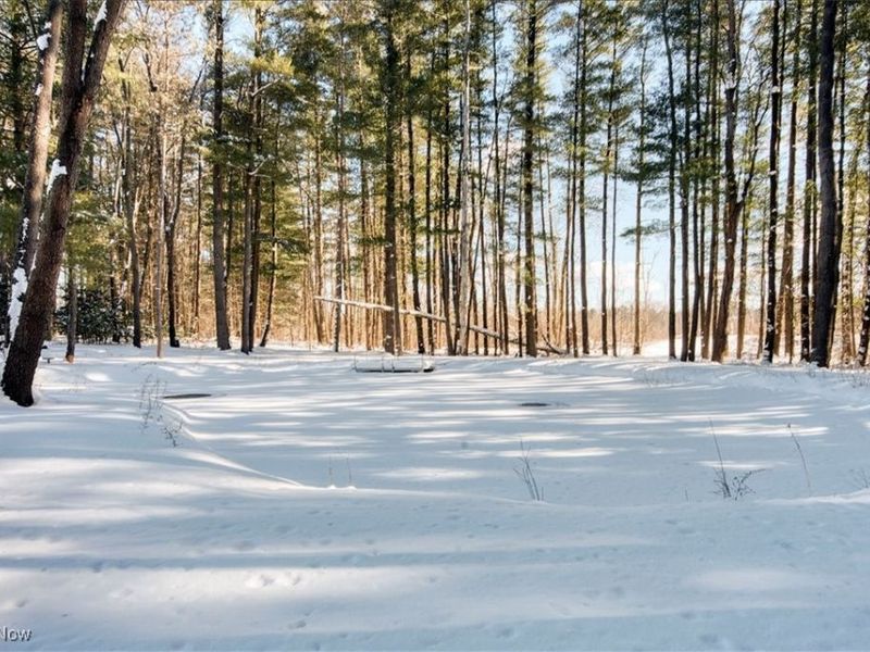 11425 Clearfield Lane, Chardon, OH 44024 Photo 48