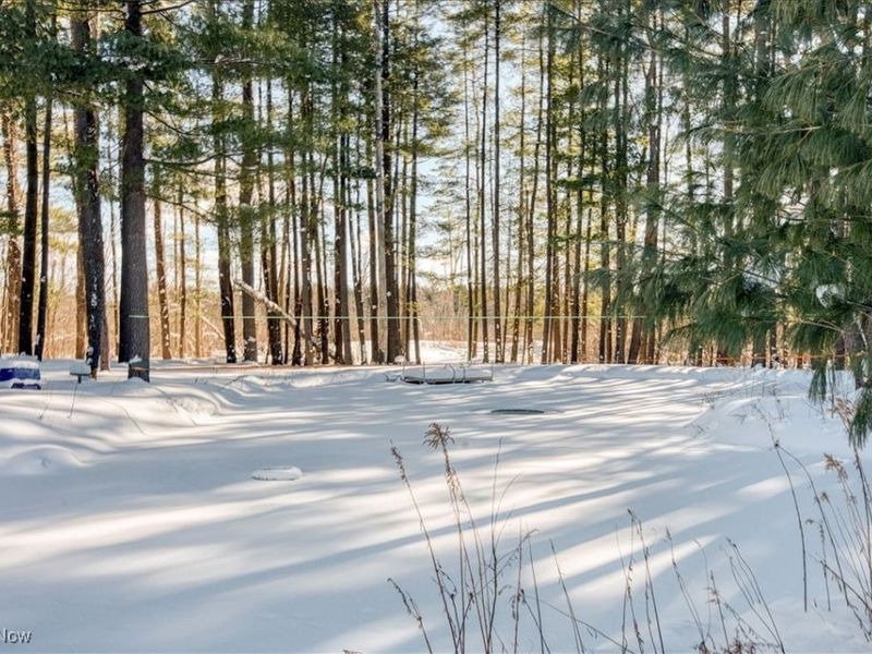 11425 Clearfield Lane, Chardon, OH 44024 Photo 49