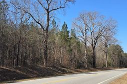 0 Us Highway 176  photo 4