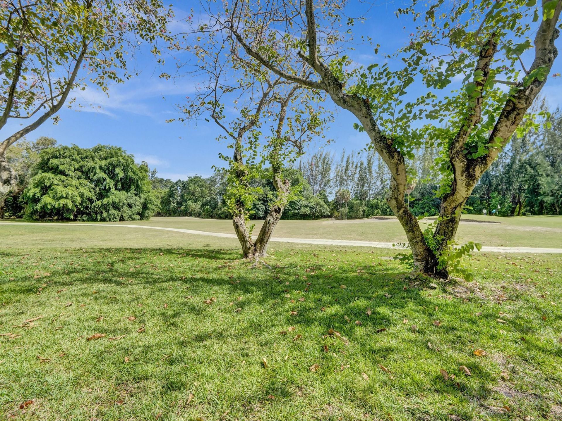 3150 N Palm Aire Drive, Unit 106, Pompano Beach, FL 33069 Photo