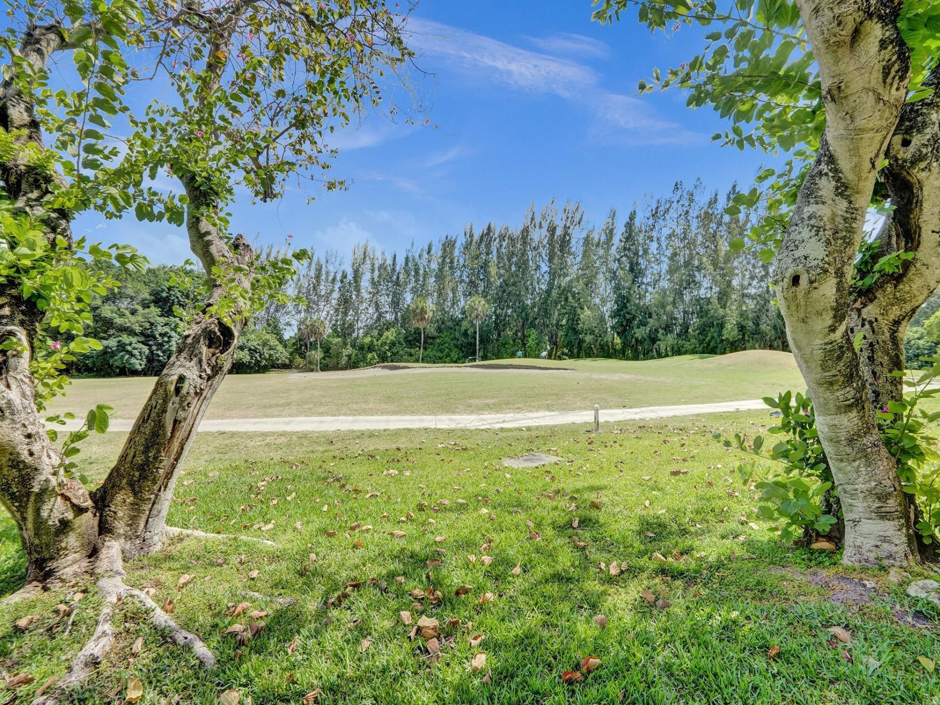 3150 N Palm Aire Drive, Unit 106, Pompano Beach, FL 33069 Photo