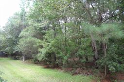 112 Duany Dr.  photo 4