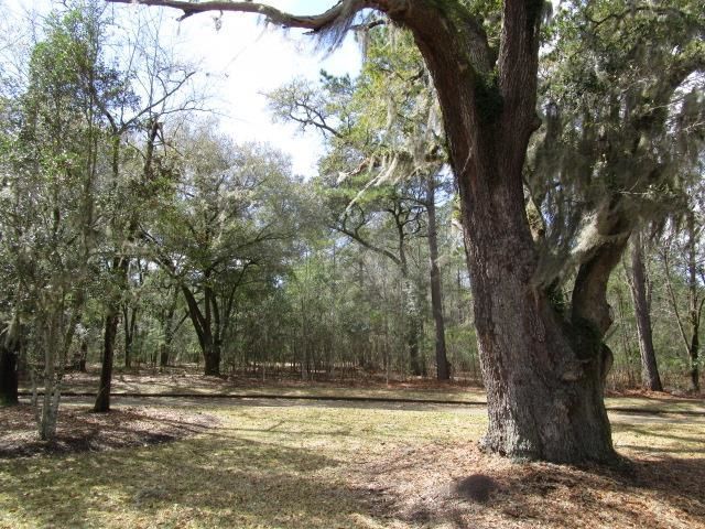 112 Duany Dr.  Photo 31