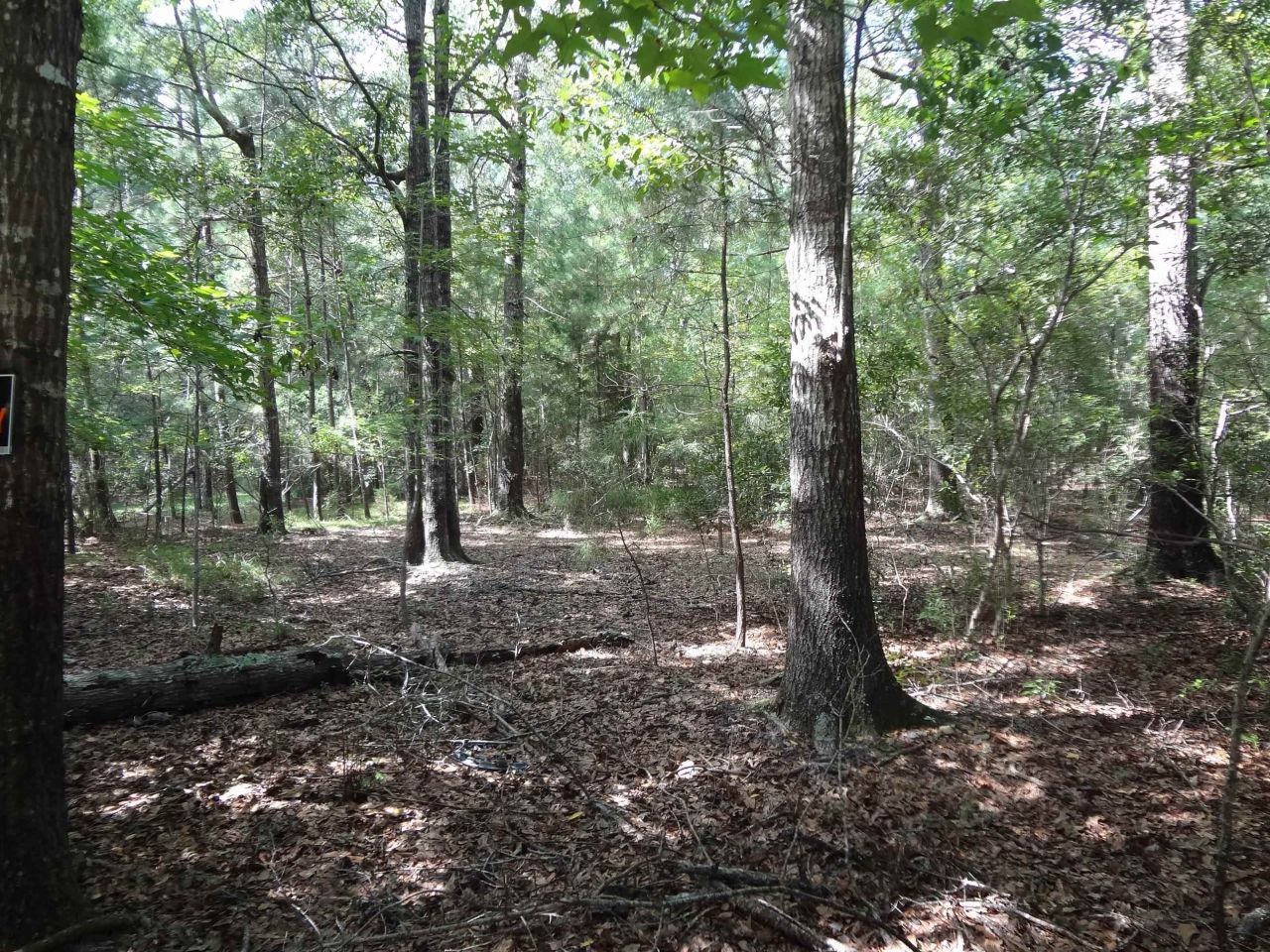 112 Duany Dr.  Photo 6