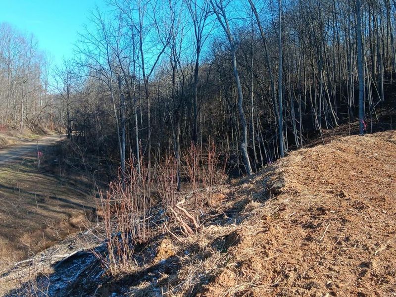 0 Hampton Hollow Road , Unit (2 Acre Tr, Langsville, OH 45741 Photo 11