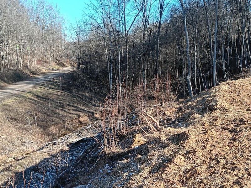 0 Hampton Hollow Road , Unit (2 Acre Tr, Langsville, OH 45741 Photo 12