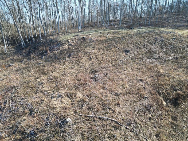 0 Hampton Hollow Road , Unit (2 Acre Tr, Langsville, OH 45741 Photo 22