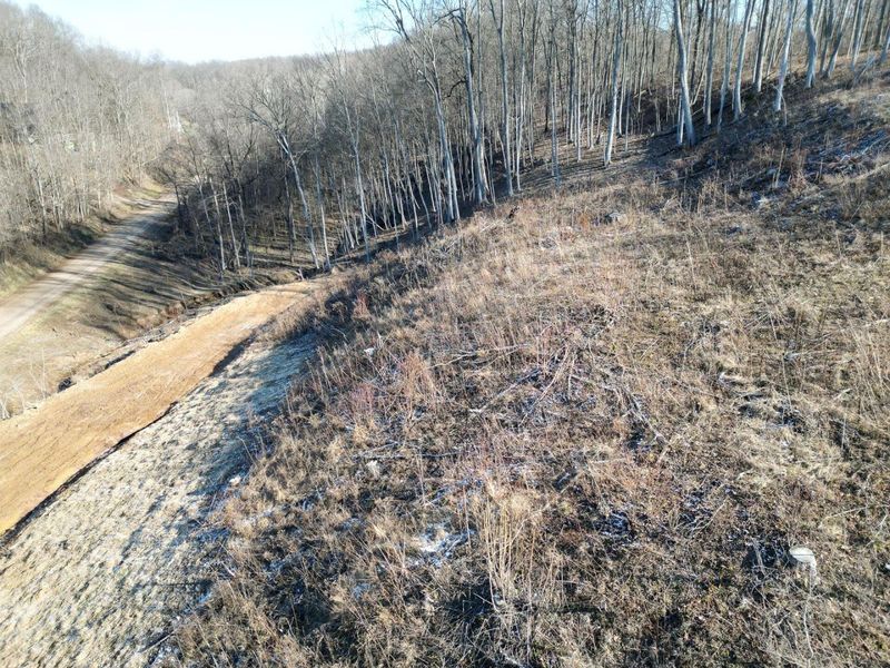 0 Hampton Hollow Road , Unit (2 Acre Tr, Langsville, OH 45741 Photo 9